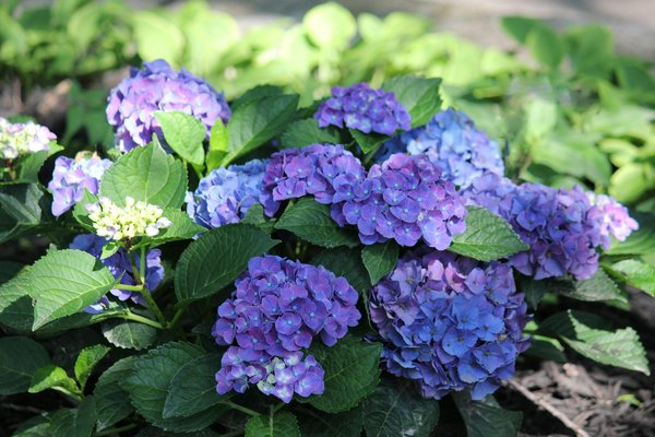 Trasforma la Tua Casa in un Nido di Comfort